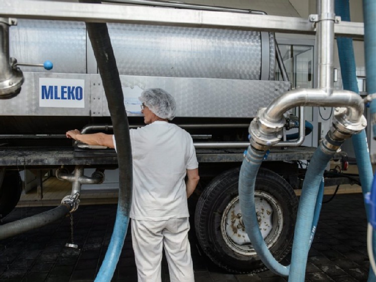 Producenci mleka domagają się pomocy od Komisji Europejskiej